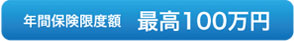 年間保険限度額　最高100万円