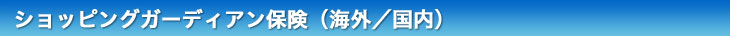 ショッピングガーディアン保険（海外／国内）