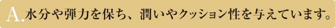 A.水分や弾力を保ち、 潤いやクッション性を与えています。