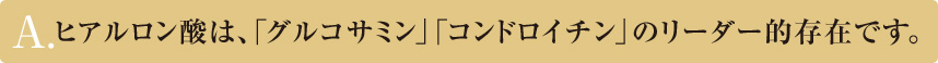 A.ヒアルロン酸は、「グルコ サミン」「コンドロイチン」のリーダー的存在です。