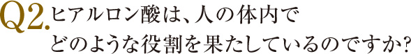 Q2.ヒアルロン酸は、人の体内で 　　 どのような役割を果たしているのですか？