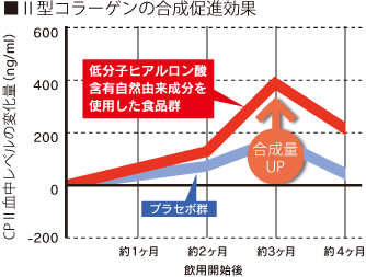 Ⅱ型コラーゲンの合成促進効果