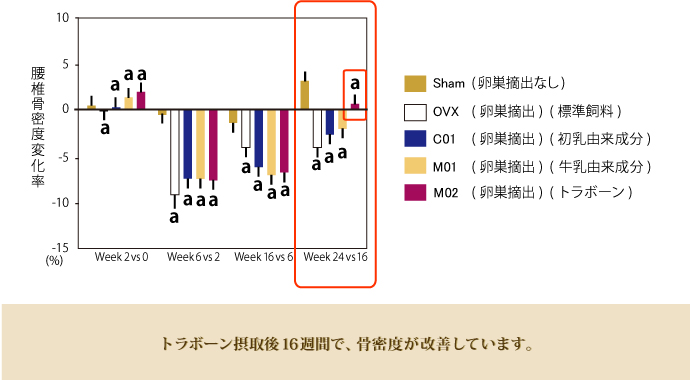 トラボーン摂取後16週間で、骨密度が改善します。