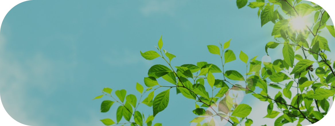 今日と生きとる